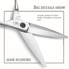 6.0 Inch Stainless Steel Engraved Barber Scissors Brushed Matte Surface