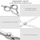 Silver Special Hairdressing Scissors Japanese 440C Steel Engraving Handle
